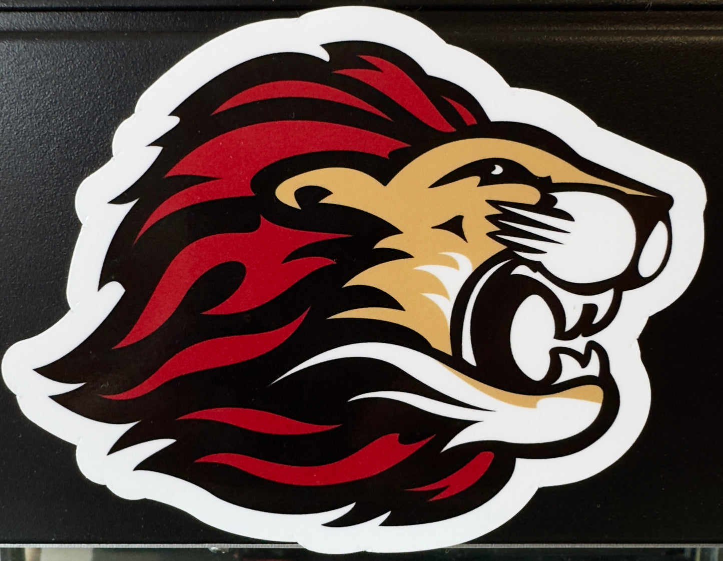 LION Magnet