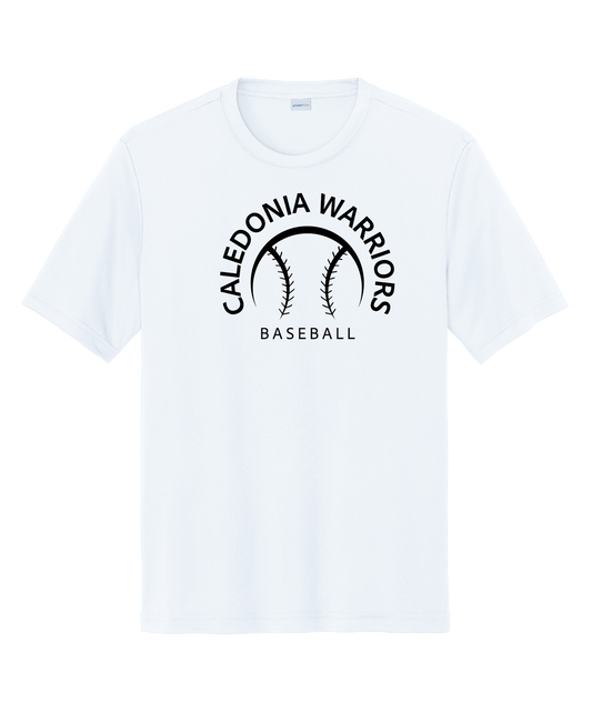 CALB - Performance Collection D2