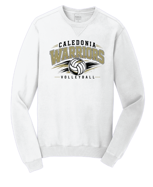 CALVB26 - Beachwash Garment Dyed Crewneck