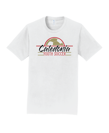 CYSA - Performance Collection