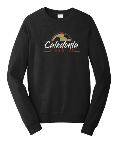 CYSA - Performance Collection