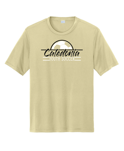 CYSA - Performance Collection