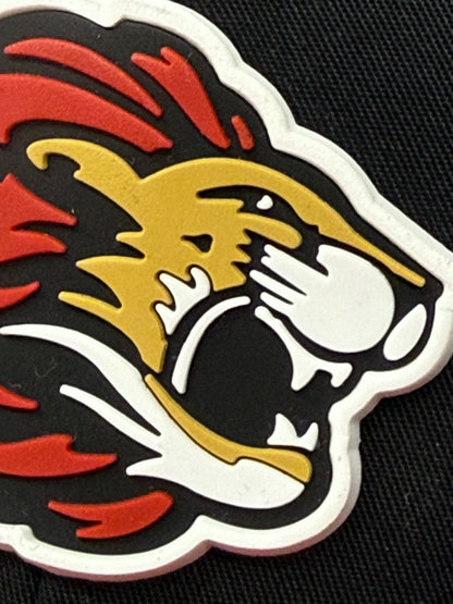 SG LIONS Richardson Snapback Hat with PVC Patch