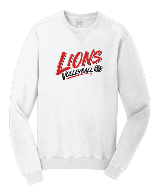SGVB26 - Beachwash Garment Dyed Crewneck