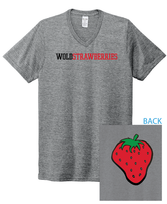 WOLD - Triblend V-Neck Tee