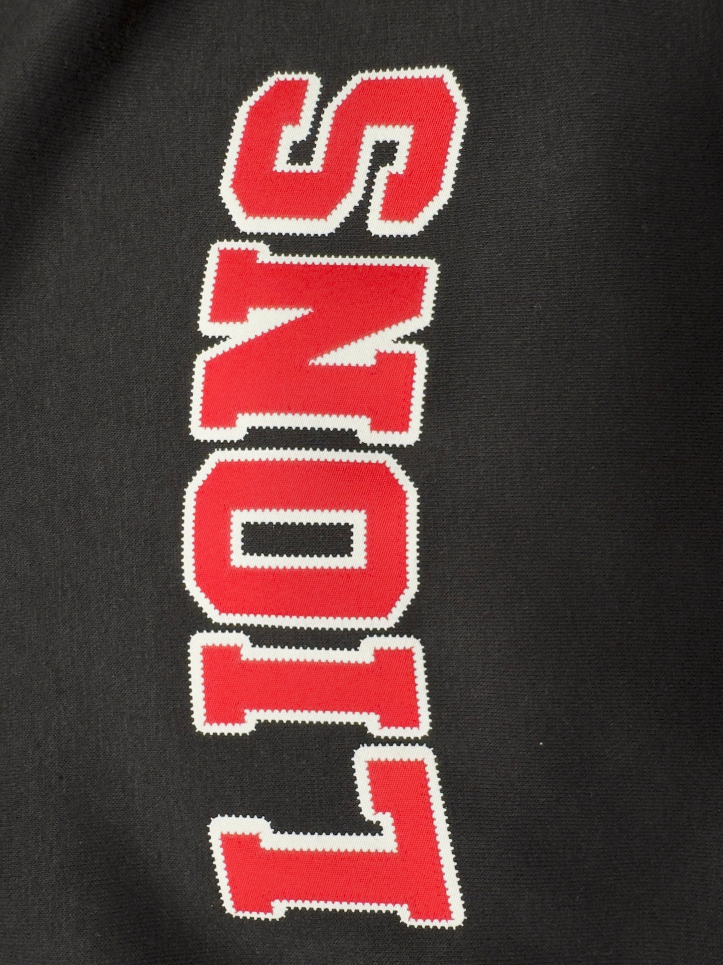 Lions Premium Rugger Hoodie