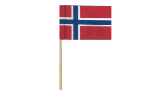 Norway Flags 6x4"